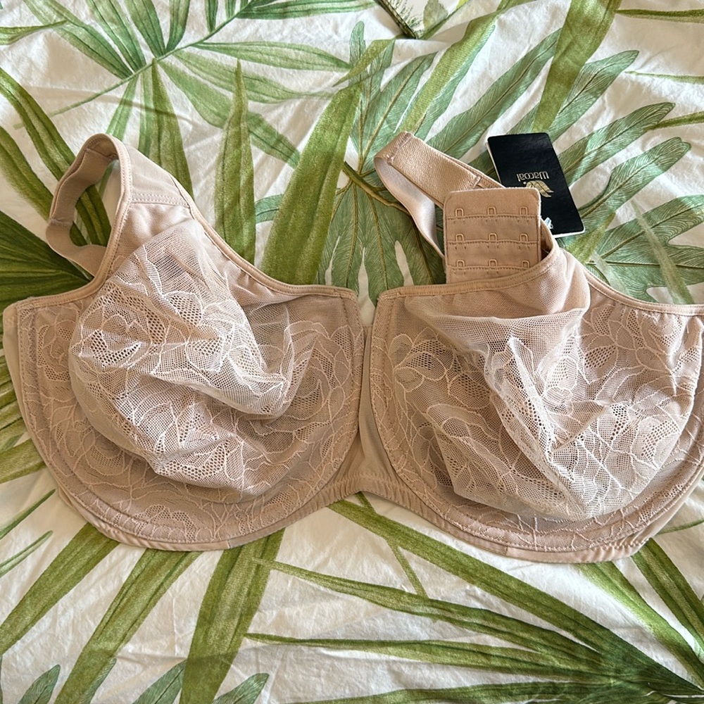 Wacoal 38H style 855225 NWT